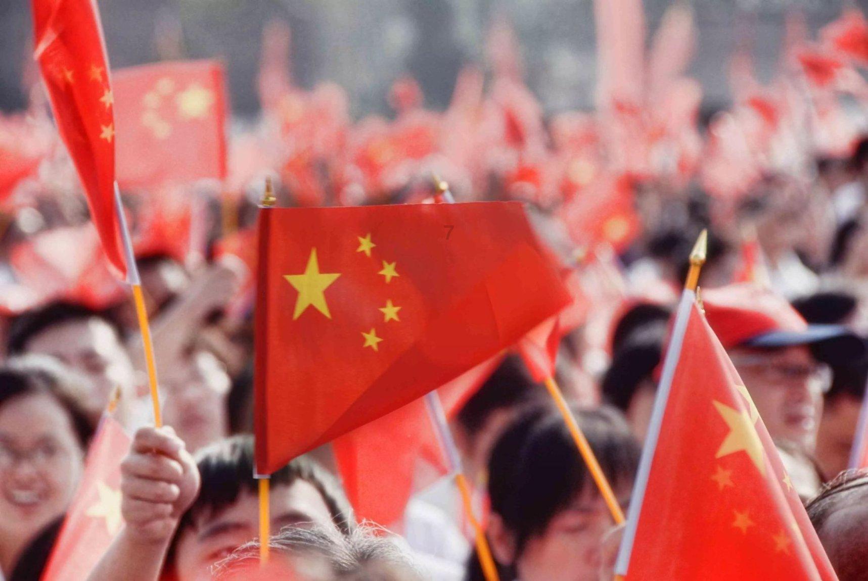 漂亮鹦鹉救援